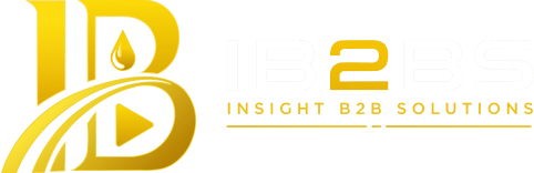 Insight B2B Solutions